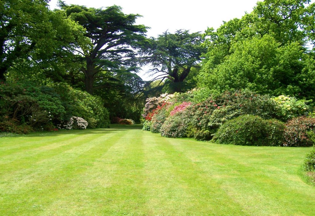 Servicios de mantenimiento de jardines