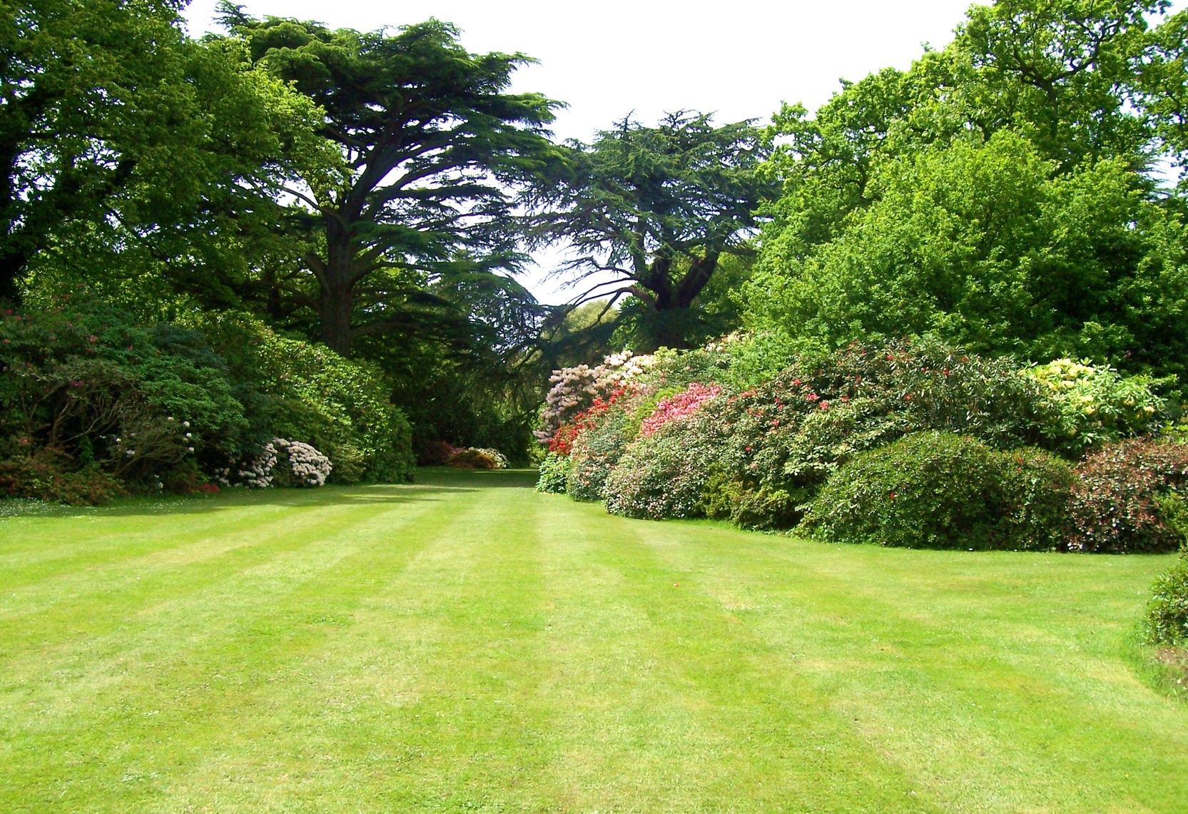 Servicios de mantenimiento de jardines